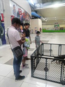 adopcion-megamall-pty-feb-2024-1