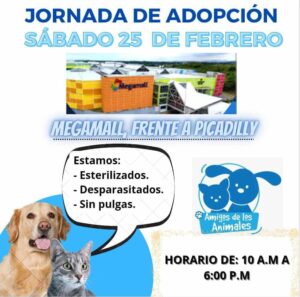 adopcion-megamall-pty-feb-2024
