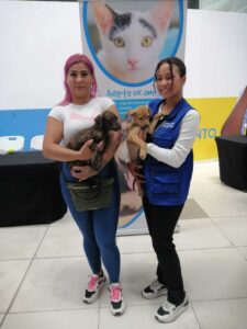 adopcion-megamall-pty-feb-2024-8