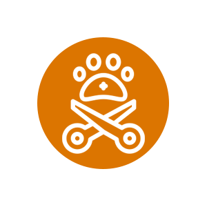 esterilizar-mascotas-panama